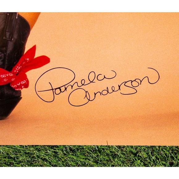 Pam Anderson Sexy Cowgirl Poster Playboy Vintage 90's GoGo #2749 - Picture 9 of 9